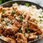 Instant Pot Honey Garlic Chicken and Rice