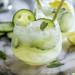 Cucumber Gin Fizz Pops Recipe