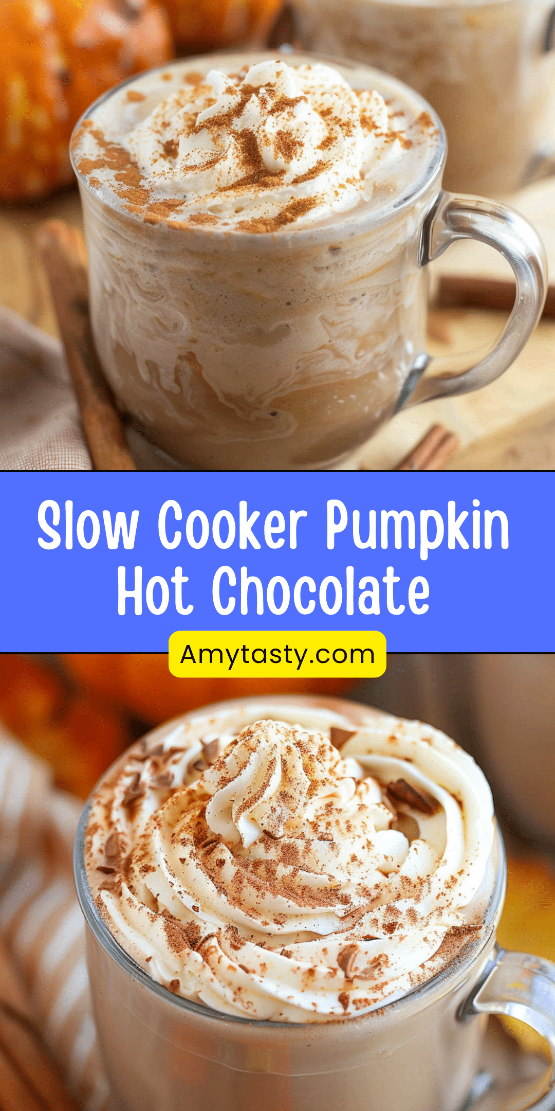 Slow Cooker Pumpkin Hot Chocolate