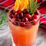 Holiday Punch Recipe